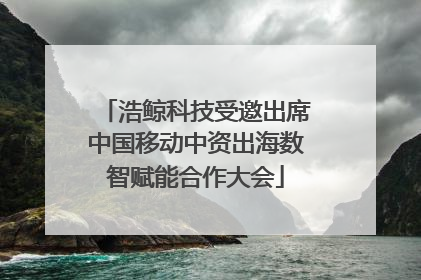 浩鲸科技受邀出席中国移动中资出海数智赋能合作大会